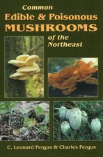 Common Edible & Poisonous Mushrooms of the Northeast Paperback