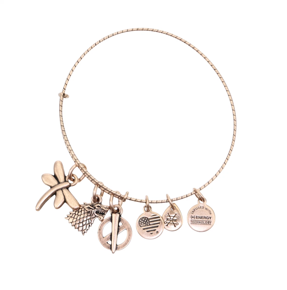 Alex and ani deals bracelet game of thrones