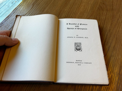 Amasa S. Condon A HANDFUL OF FLOWERS WITH SPRAYS OF EVERGREEN First Edition 1913 - Picture 7 of 11