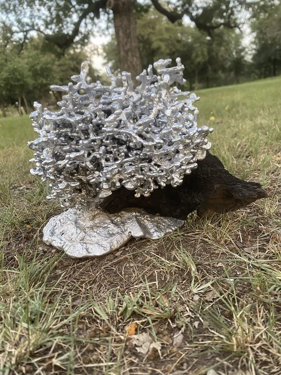 TX Ant-Bed Casting #55 - Imported Fire Ant Colony Aluminum Anthill Art |  eBay