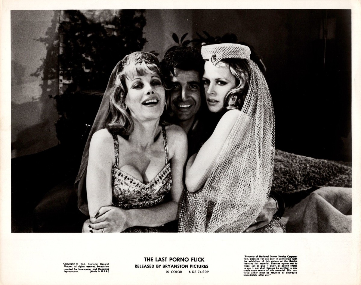 Frank Calcanini + Robyn Hilton in The Last Porno Flick (1974) 🎬⭐ Photo K  330 | eBay