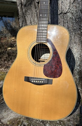 Yamaha Acoustic Guitar FG-04 LTD Taiwan - Bild 3 von 10