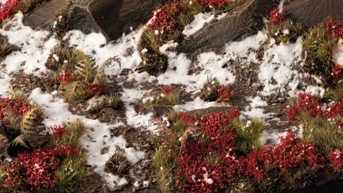 Gamers Grass - Laliguras Flowers - Picture 3 of 3