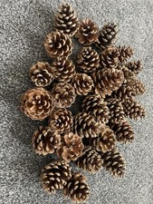 30 Pine Cones Ideal For Crafting Autumn & Christmas Wreaths & Decorations