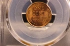 1909 VDB Lincoln Cent PCGS Genuine Questionable Color UNC Details. ??