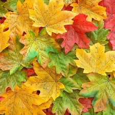 4.73''Fake Fall Leaves Decor0.7 LB Fall Leafs Faux Odorless600 Pcs Large Fall...