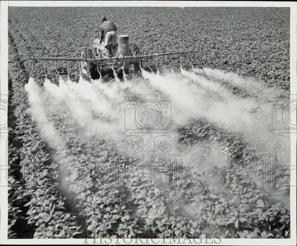 1949 Press Photo Bean Patch Dusted with Insecticides with 16-Spout