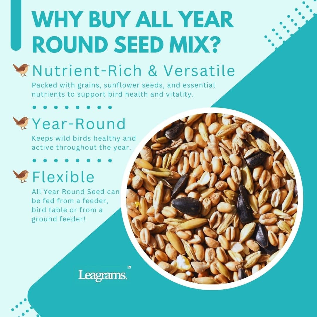 Wild Bird Food Seed Mix All Year Round Premium Grade Feed 12.55 25kg ...