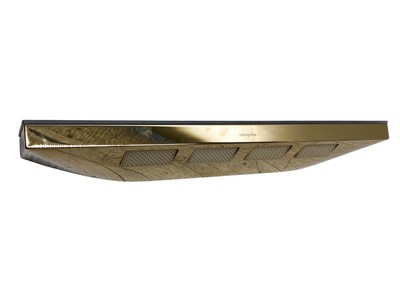 Duschkopf mit Ablage Hansgrohe Rainfinity 500 Gold B-WARE