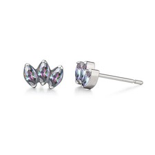 Hypoallergenic G23 Pure Titanium Earrings  Crown  F136 Implant