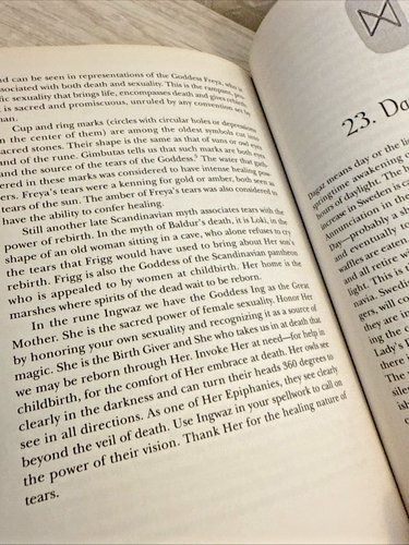 Lady of the Northern Light : A Feminist Guide to the Runes by Susan Gitlin-Emmer - Picture 7 of 8