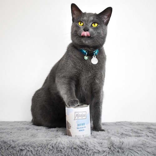 - Premium Nassfutter für Katzen - zarte Ente & Geflügel an leckeren Möhrchen ... - Bild 4 von 4