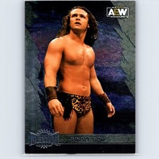 2022 Upper Deck AEW Metal Universe Jungle Boy Base #15