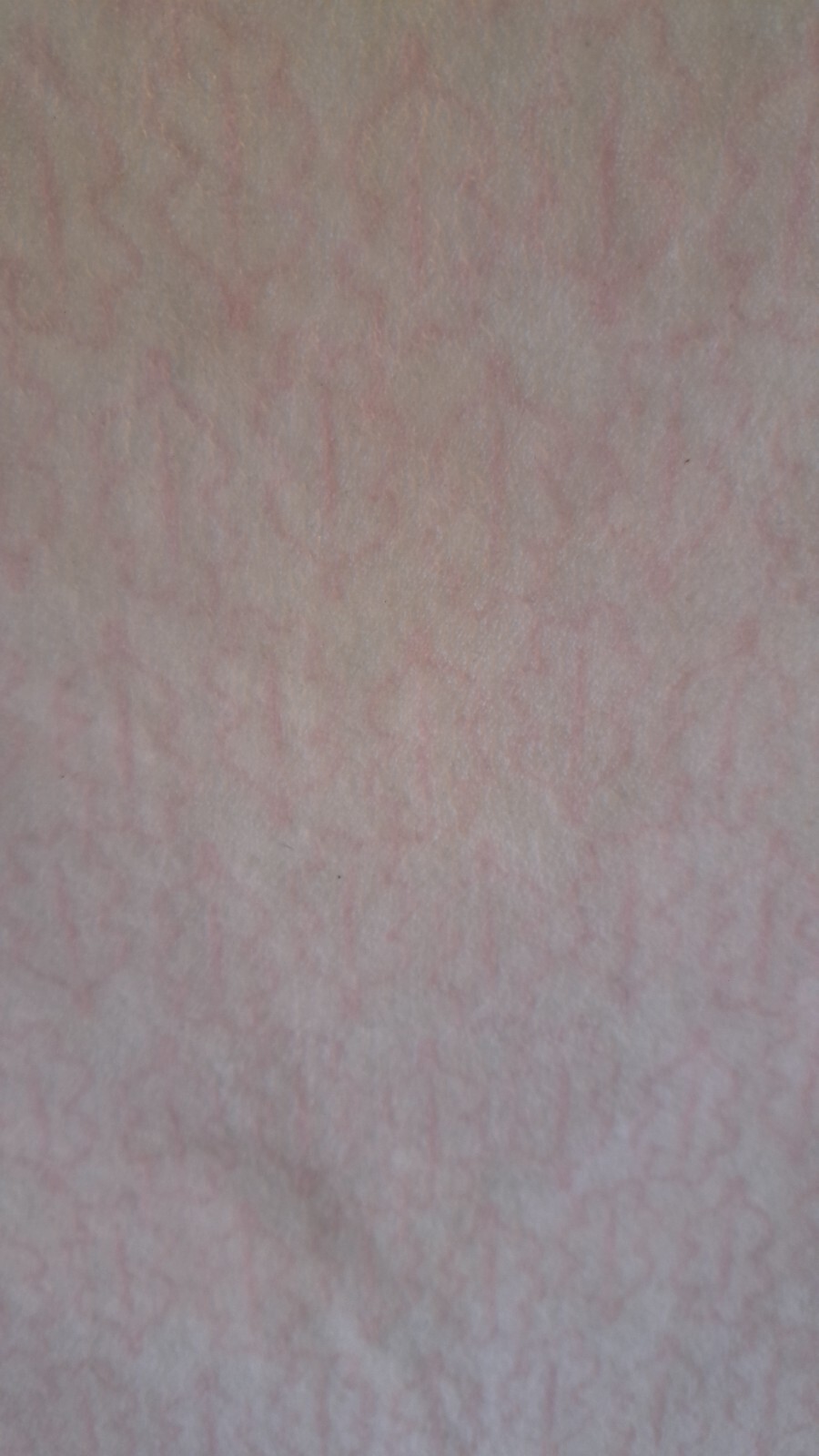 Bild 3 von 7