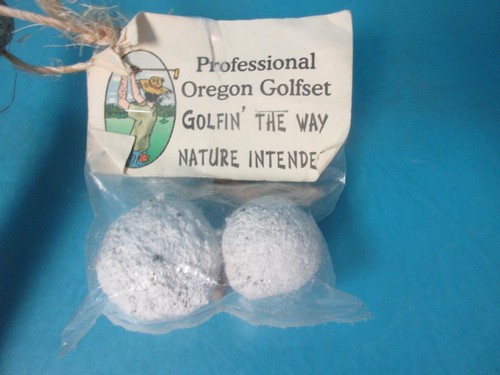 AWESOME VINTAGE PROFESSIONAL OREGON GOLFER PUTTER WOOD STICK BRANCH CLUB PRO PO - Picture 3 of 10