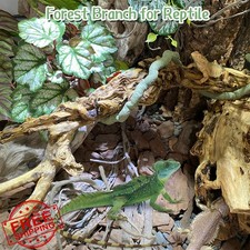 Apatal Reptile Branch Decor 2pc Snake Lizard Wood Habitat Terrarium Ornament