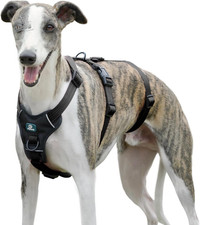 Pettorina Antifuga Cane, Pettorina anti Tiro per Cani, Imbracatura Cane Taglia P