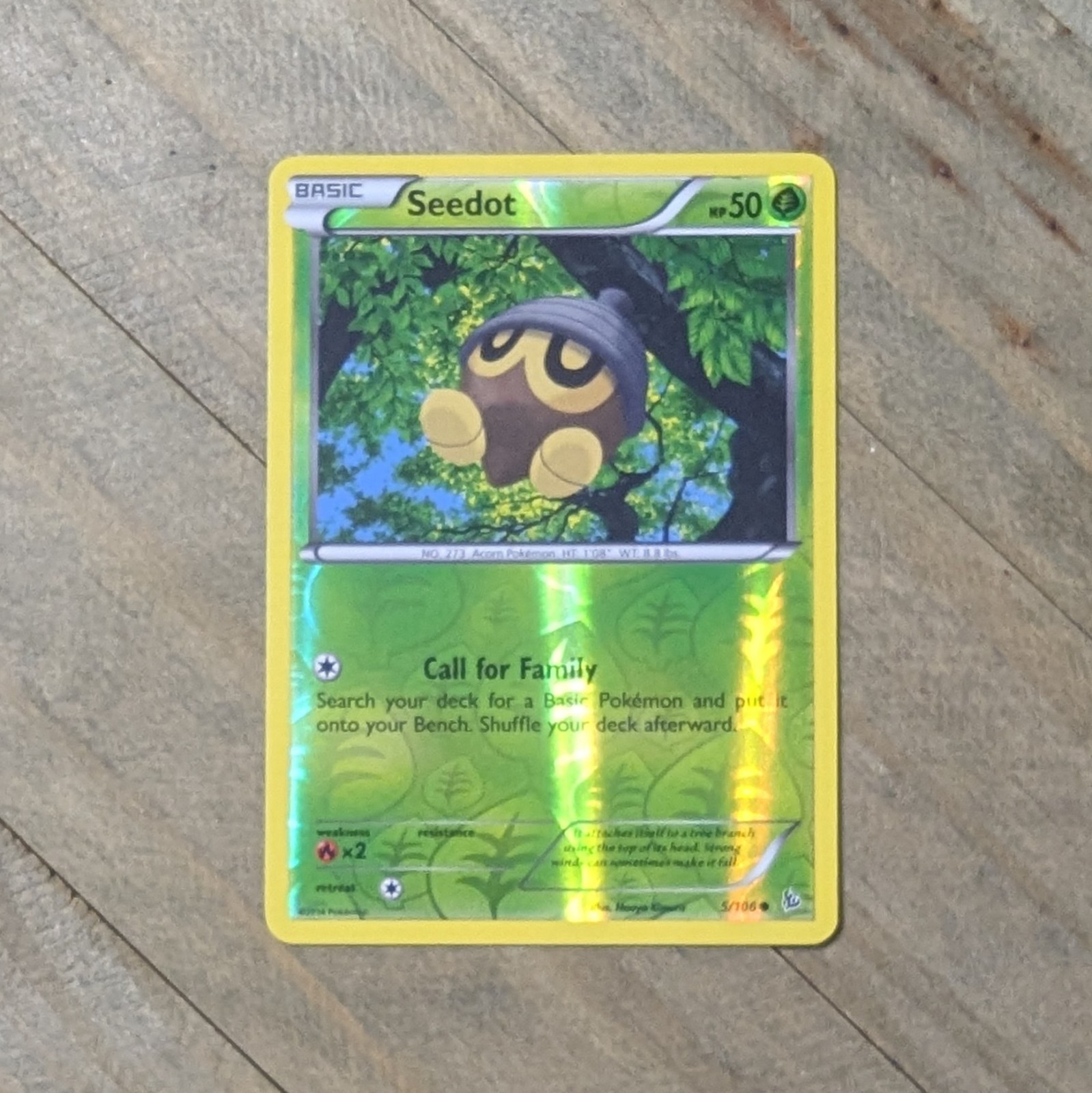 Seedot 5/106 Flashfire Reverse Holo NM Common Rarity Pokémon TCG Card 2014