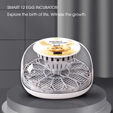 Incubator 12 eggs digital bird chicken duck goose quail incubator family gift