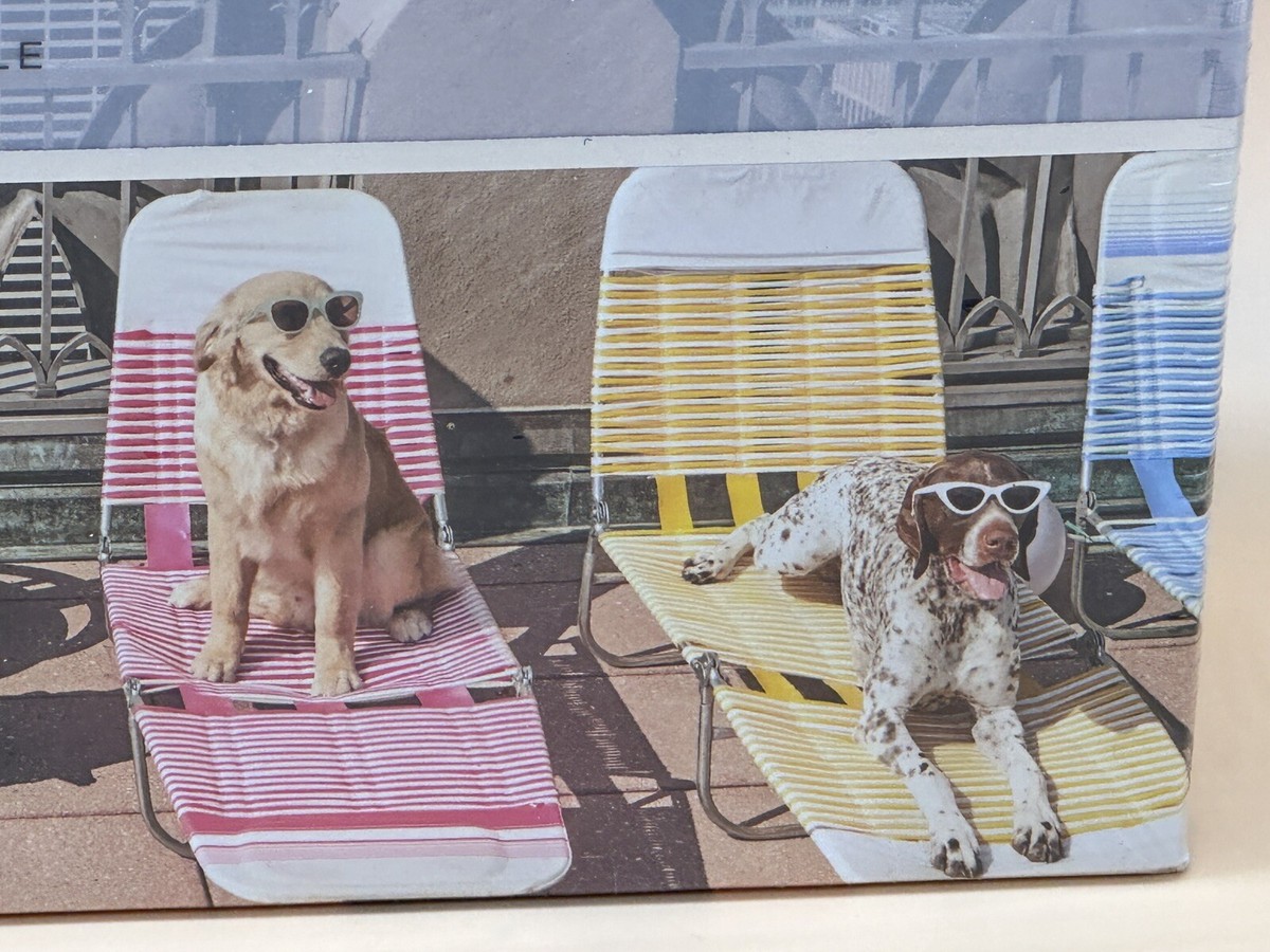 ジグソーパズル Gray Malin / The Dogs of New York City Gray Malin the Dogs of New York City 1000 Piece Puzzle by