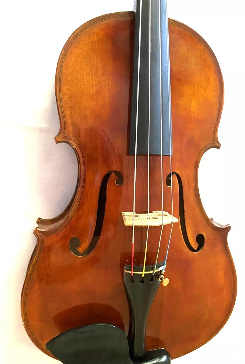 Ornati violin 2024