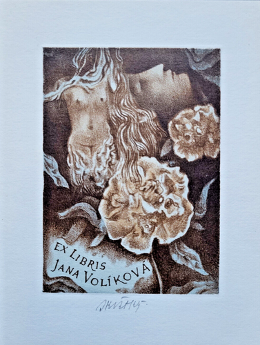Original Radierung Exlibris Bohumil Kratky Erotic Jana Volikova Akt Blumen Traum