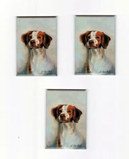 Brittany Spaniel Magnet Set 3 Magnets By Artist Ruth Maystead