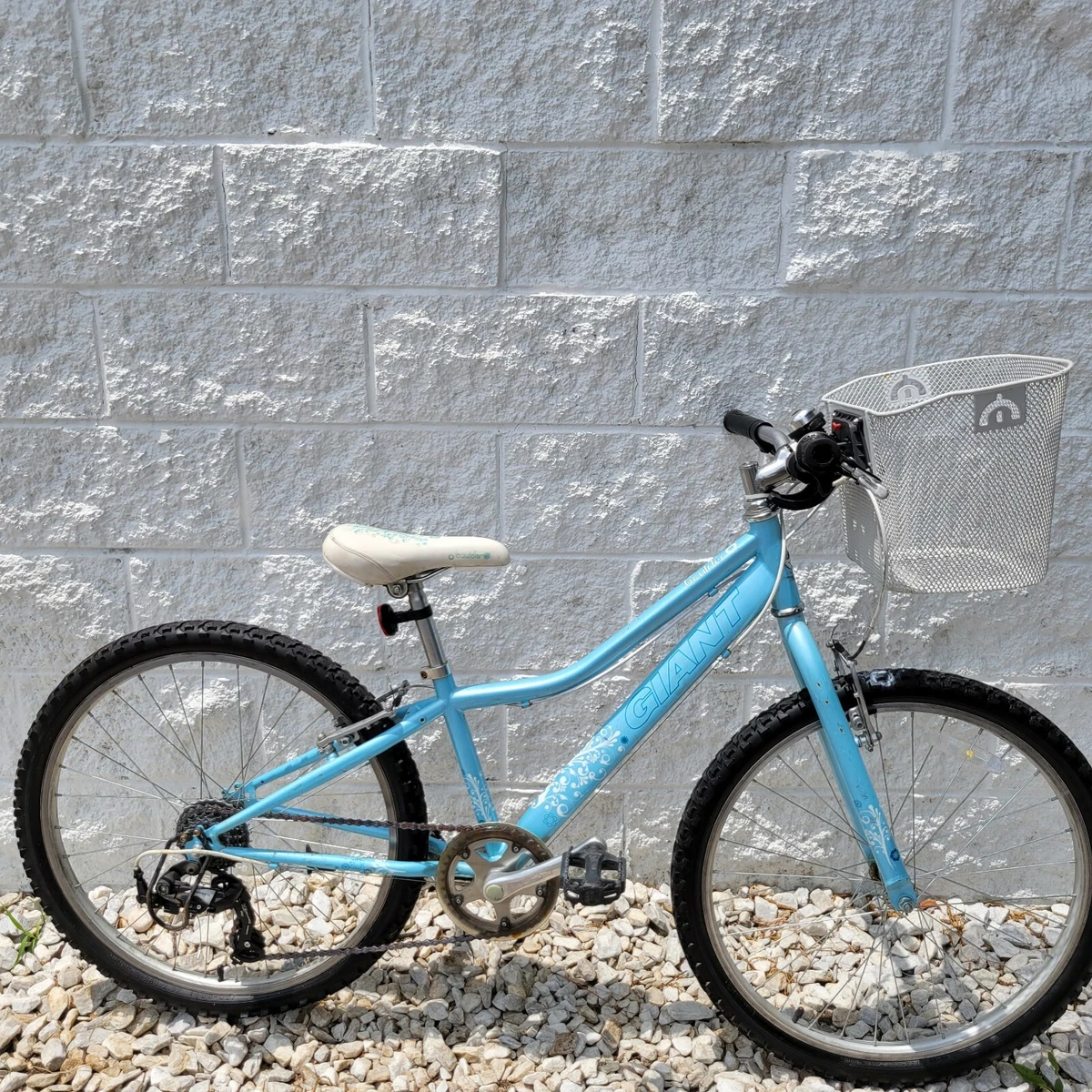 Slot Abstoßen Eben bike frame 24 inch Soziologie Zimmermann Trompete