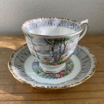 Vintage Royal Albert Silver Birch Teacup and Saucer English Cottage Woodland