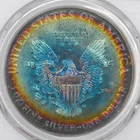 1990 $1 American Silver Eagle PCGS MS66 - Beautiful Dual Sided Toning