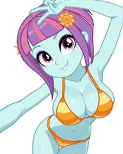 Sunny Flare Vinyl Car Decal Sticker 7" Weatherproof