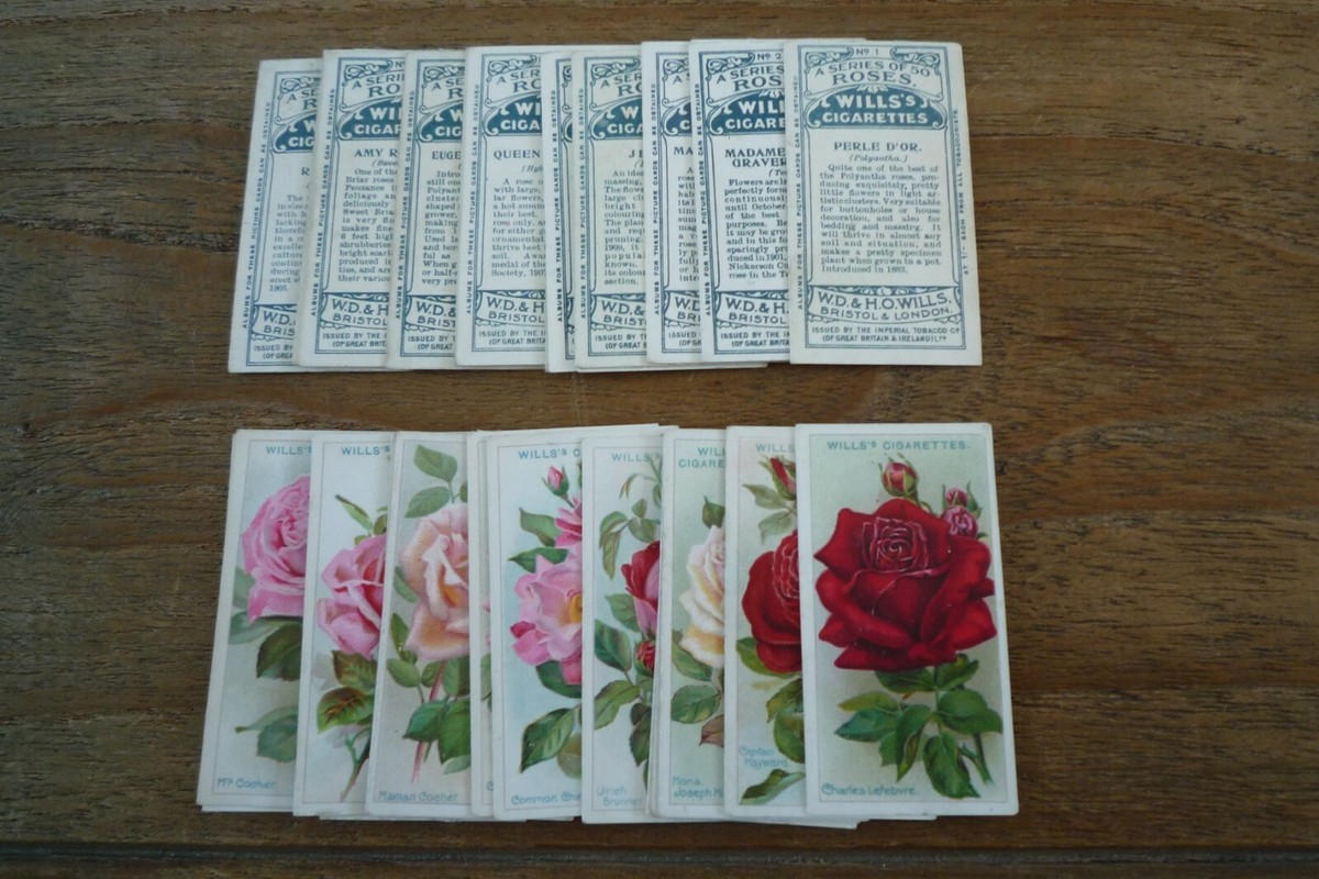 Wills - Roses Cigarette Cards from 1912