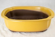Japanese Yokkaichi Mustard Oval Glazed Succulent & Bonsai Pot + Mesh 10" - 12.5"