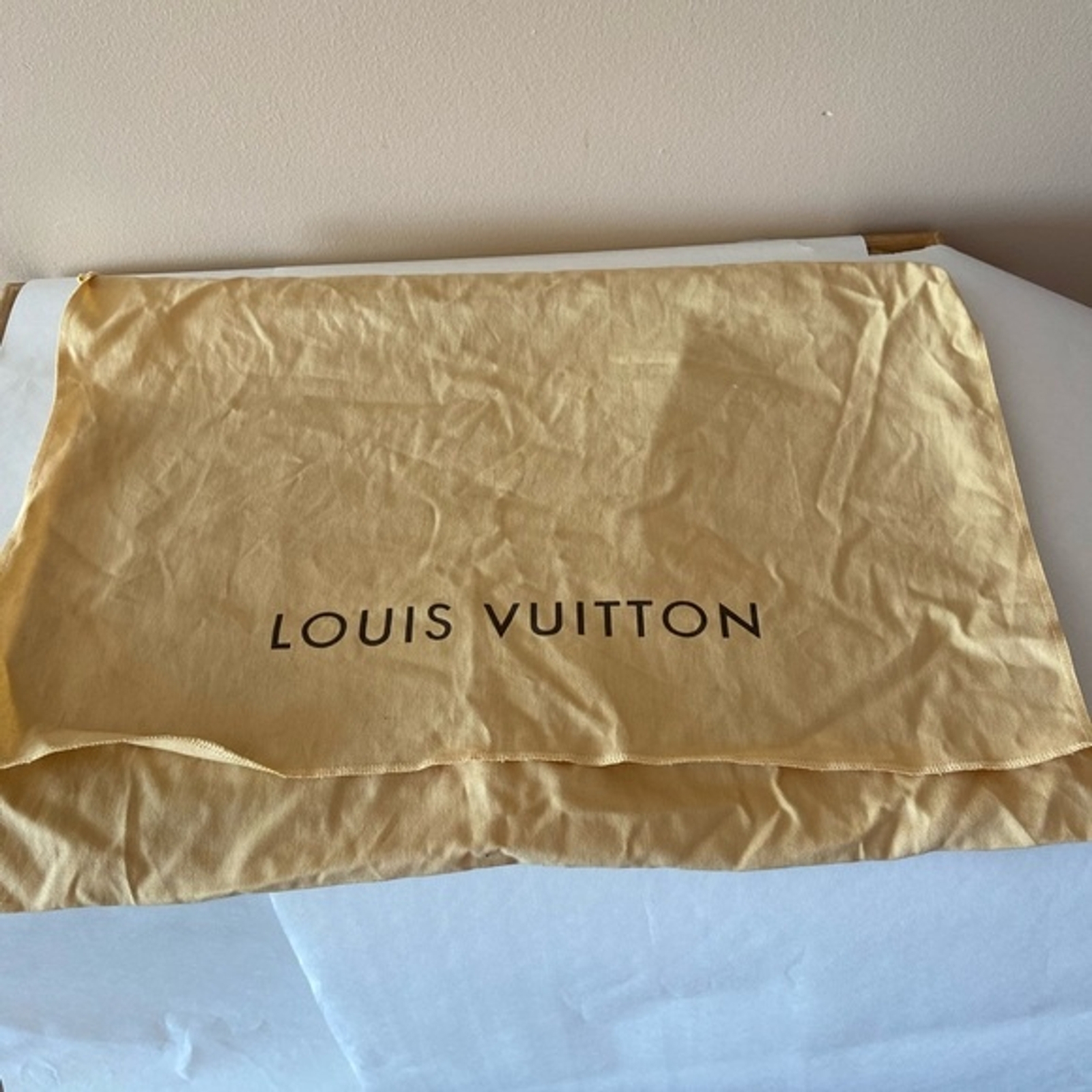 Authentic Louis Vuitton dust bag Gem