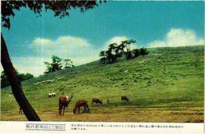 CPA AK Wakakusa-Yama JAPAN (671386)