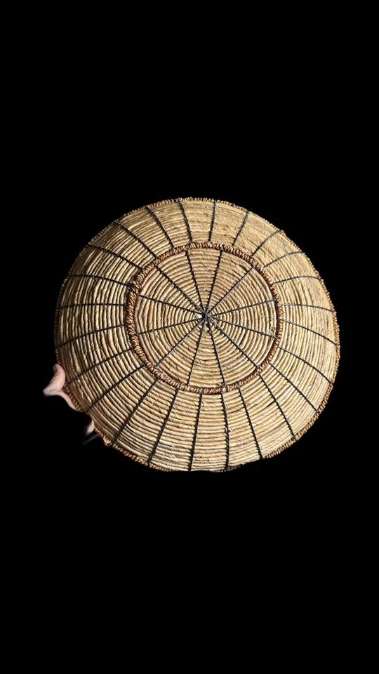 "Cesta de mimbre de agua dulce pastos marinos marco de alambre grande 18,5"" frutero decorativo📦" Foto 2 de 4