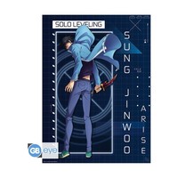 Abysse: Solo Leveling - Jinwoo Arise - Chibi Poster - Neu & OVP
