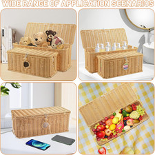 2 Pcs Handmade Cable Management Boxes Rattan Organizer Large Medium Cord Hider
