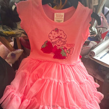 Strawberry Shortcake Girls Size 18M Pink Fit Flare Tulle Tiered Ruffle Dress