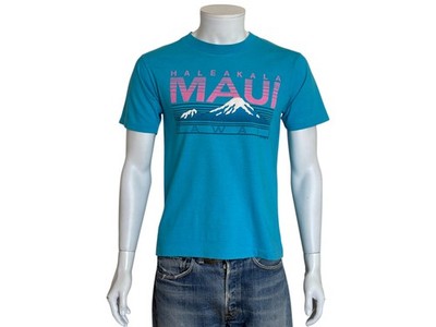 Vintage 90s Haleakala Maui Hawaii T-Shirt - Blue & Pink Tourist Tee Made in USA