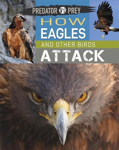Predator vs Prey: How Eagles and other Birds Attack by Tim Ha... - 9781526314581