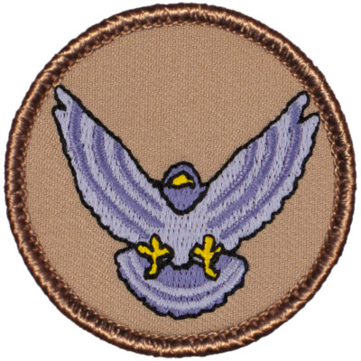Nighthawk Patrol Patch - 2'' Round Embroidered Patch