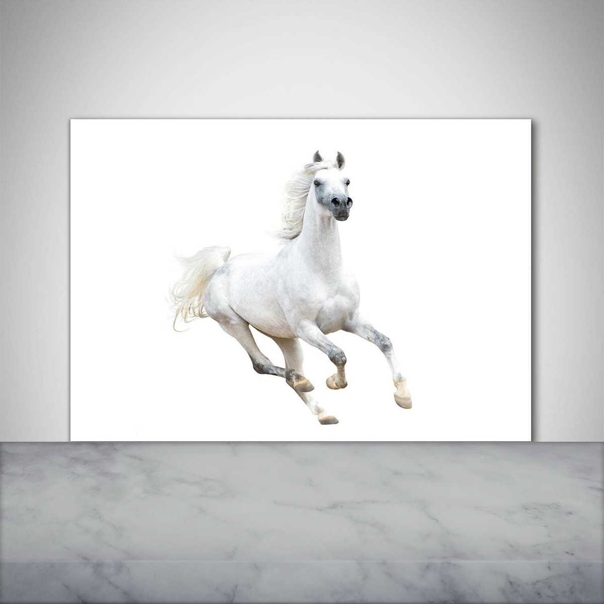 Tableau Verre Trempé Tulup 100x50 - Cheval Arabe Gris - Décoration Moderne