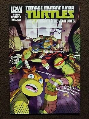 Teenage Mutant Ninja Turtles New Animated Adventures #12 RI Variant Cover IDW 