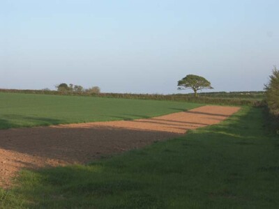 Photo 6x4 Arable land near Gare Lamorran  c2007