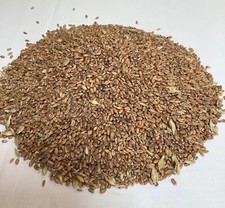 British Whole Wheat Grain.For doorstop Filling/Weighting,Heat /Wheat Bags,Crafts