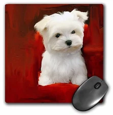 3dRose Maltese Puppy MousePad