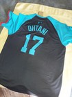 Picture 10 of 12