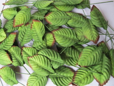 100 GRÜNE ROSENBLÄTTER 20mm Breite Drahtstiel Maulbeere Papier Basteln Topper R5G*9