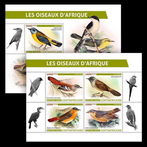 Timbres MNH Oiseaux d'Afrique 2023 République Centrafricaine M/S+S/S - Photo 1/3